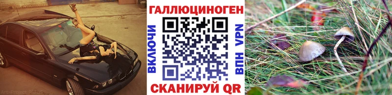 Купить закладки  Коммунар  Галлюциногенные грибы Cubensis 